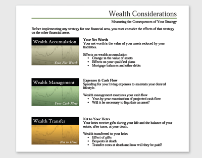 Wealth Distribution Analysis Screenshot
